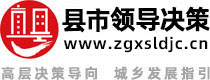 县市领导决策
