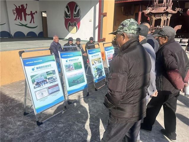 兴化垛田街道 ：村民齐聚观“神奇垛田”展