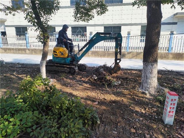 戴南镇：春风又绿刘纪村  地绿水清环境美