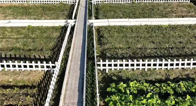  治污攻坚 | 连云港灌云：巧治农污变资