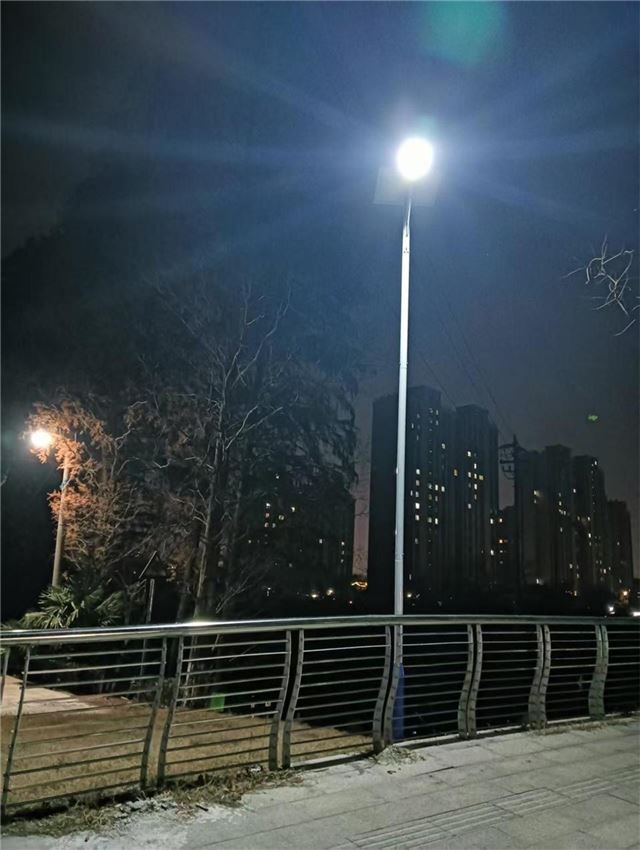 17305621793474800_33.jpg