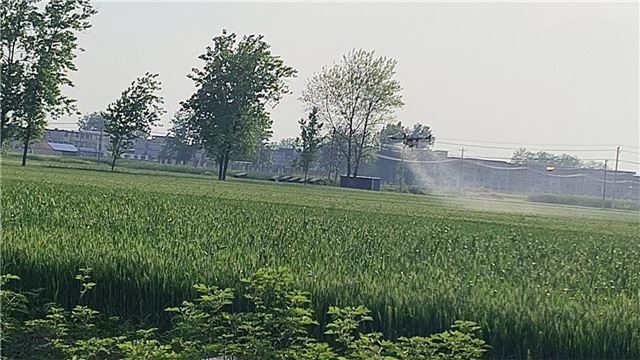 安徽涡阳县曹市镇：农技人员下沉一线 全力指导小麦赤霉病科学防控