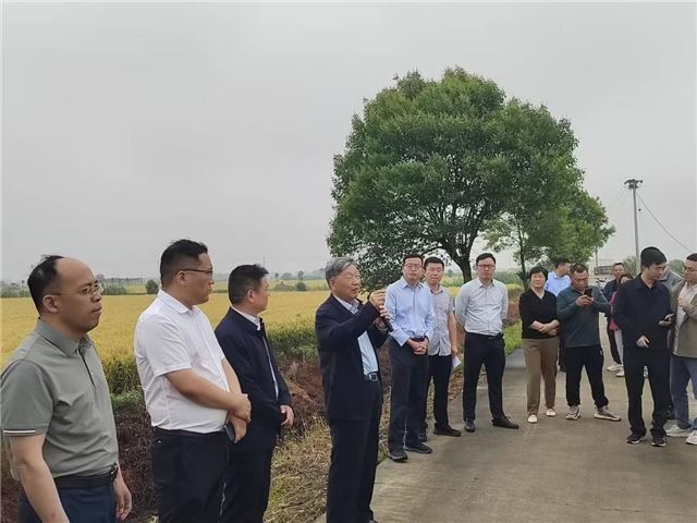 江苏粮油周年产质协同提升技术总集成与示范推广项目推进会观摩考察戴南示范片