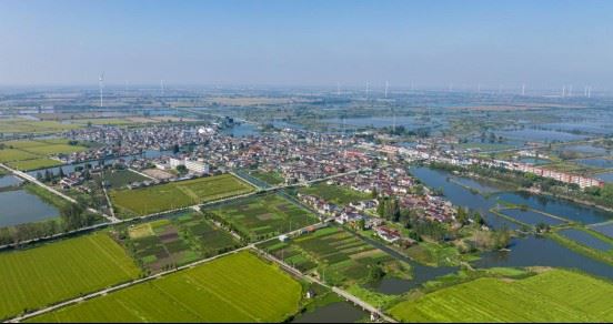  兴化千垛镇草王村成功入选2026年“江苏省特色田园建设示范”项目命名名单！