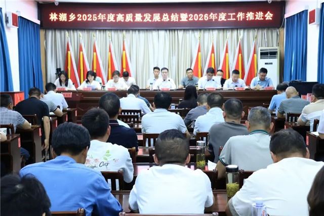 林湖乡召开2025年度高质量发展总结暨2026年工作推进会