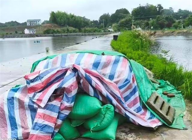 湖北蕲春县：整治赤东湖环境 助推水质不断提升