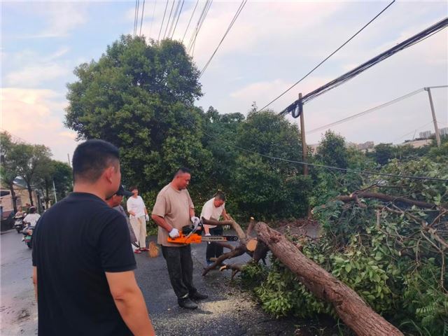 风雨急清障 护航保通行——凤凰垛村筑牢乡村道路安全屏障