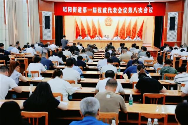 兴化市昭阳街道第一届议政代表会议第八次会议胜利召开