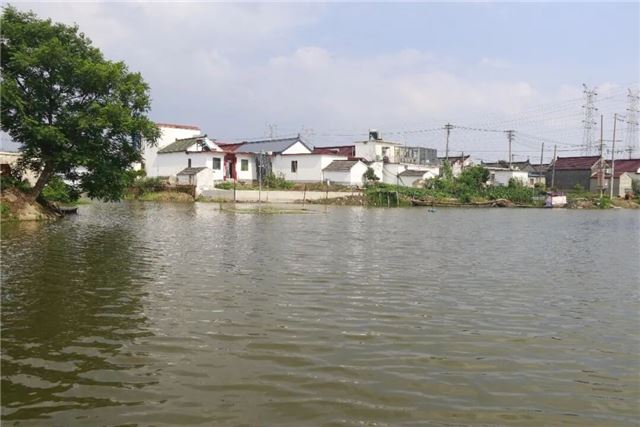 兴化市戴南镇打造优美水环境