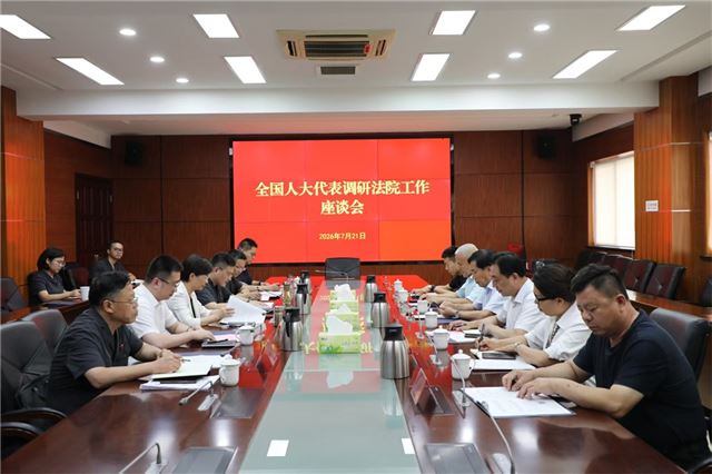 全国人大代表专题调研两级法院工作