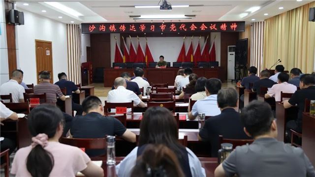 兴化沙沟镇传达学习兴化市第十四次党代会精神
